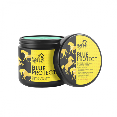 Black Horse Blue Protect Strzałki 500 g.png