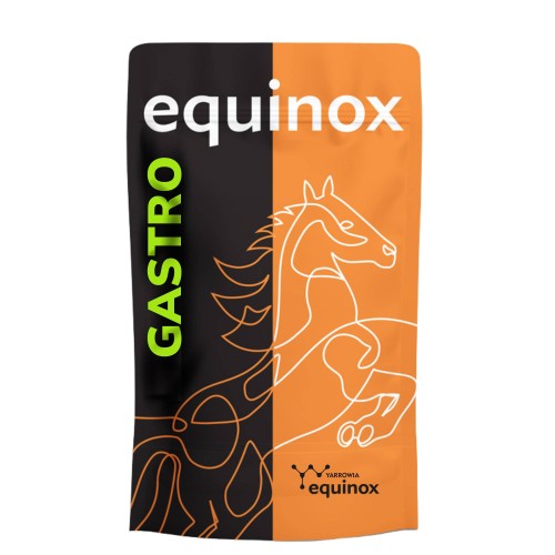 EQUINOX Gastro(2).jpg