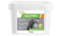 Equinox Gastro 1,5 kg.jpg