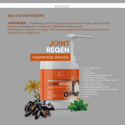 Hippovet Pharmacy JointRegen.png